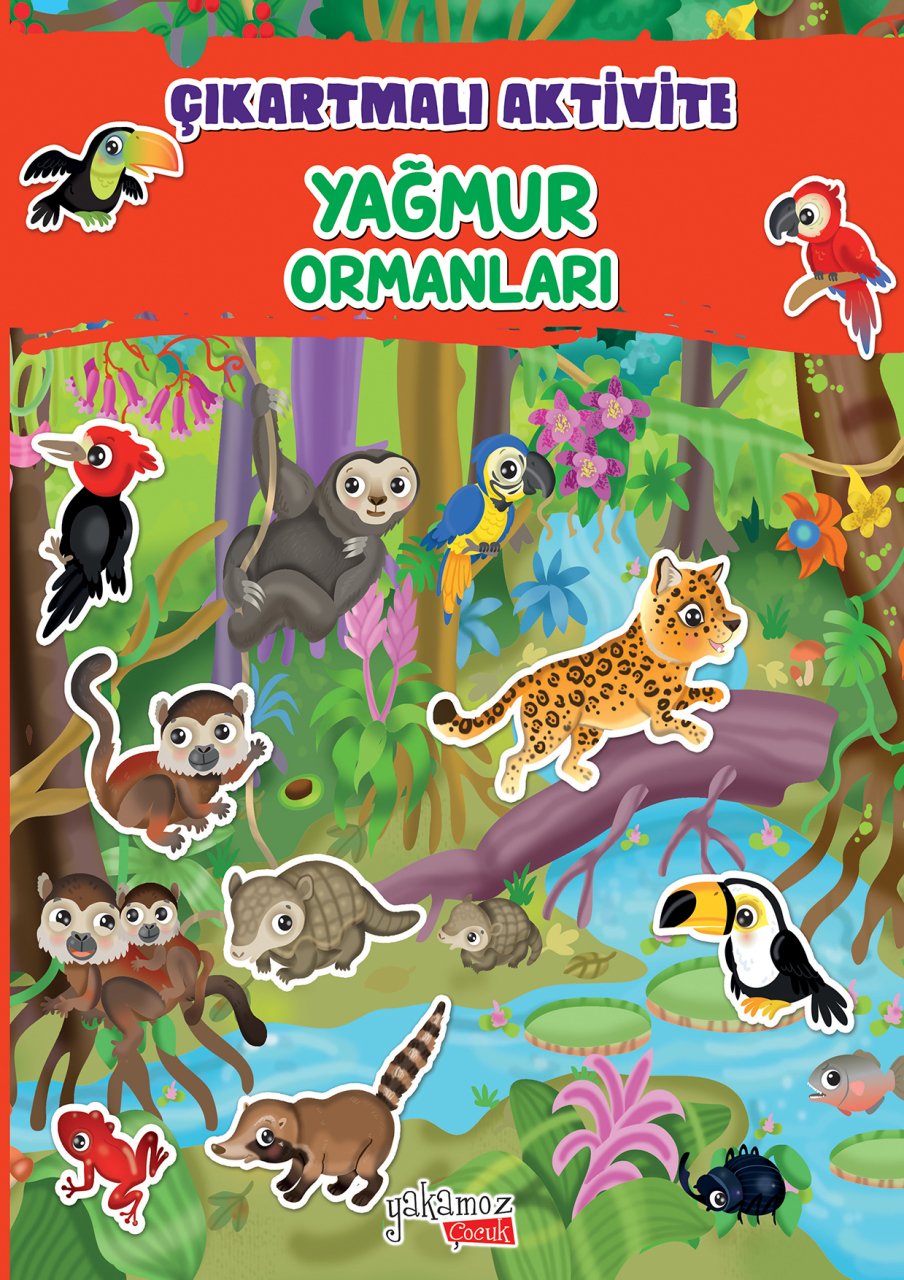 ÇIKARTMALI AKTİVİTE - YAĞMU0R ORMANLARI