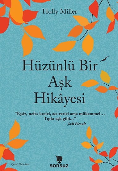 Hüzünlü Bir Aşk Hikayesi